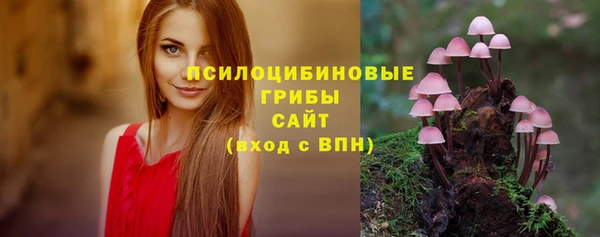 бошки Верея