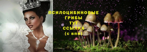 бошки Верея