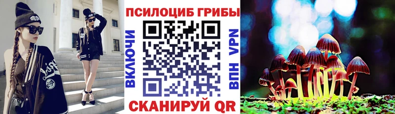 Купить где  Остров  Псилоцибиновые грибы мицелий 