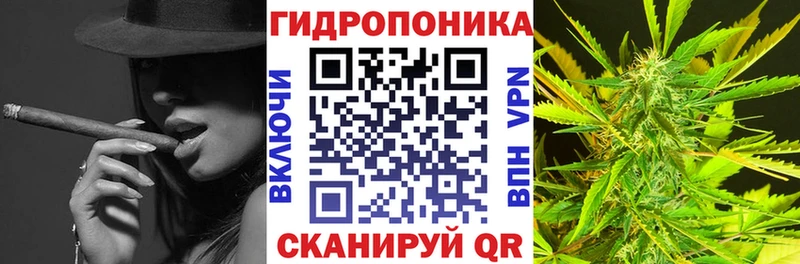 Конопля сатива  Купить где  Остров 